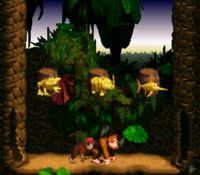 une photo d'Ã©cran de Donkey Kong Country sur Nintendo Super Nes